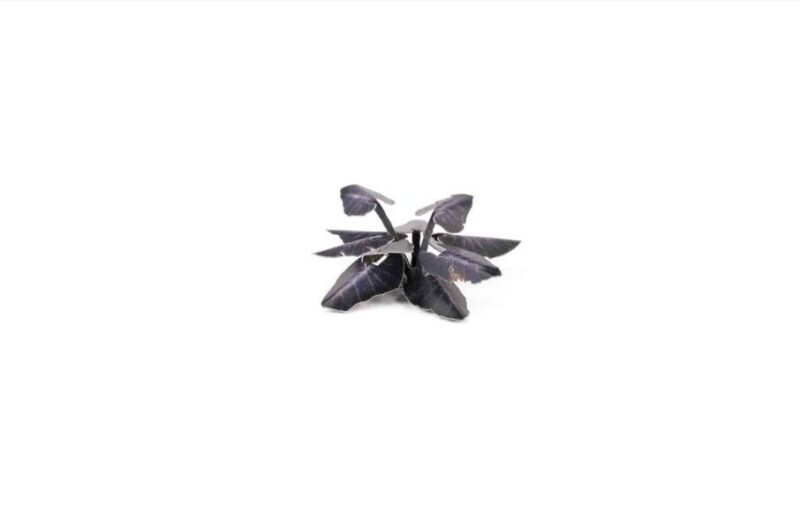 Laser Cut Plants - Black Magic Taro - Gamers Grass
