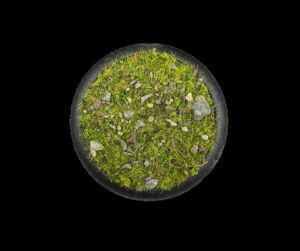Meadows of Purity - Krautcover - Scenic Products