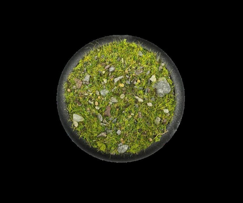 Meadows of Purity - Krautcover - Scenic Products