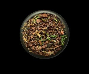 Tales from a Forest Moon - Krautcover - Scenic Products