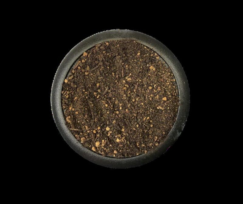 Common Earth (dark) - Krautcover - Scenic Products