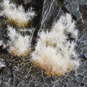 Spikey Winter Wild Tufts - Gamers Grass