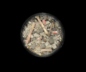 Ruins of Persistence - Krautcover - Scenic Products