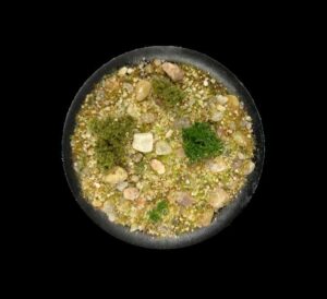 Soil of Sparta - Krautcover - Scenic Products