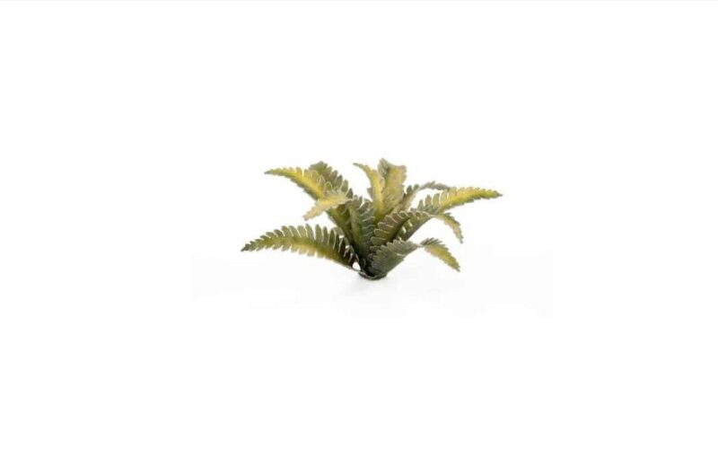 Laser Cut Plants - Deer Fern - Gamers Grass