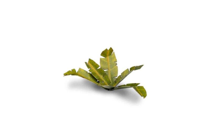 Laser Cut Plants - Banana Tree - Gamers Grass