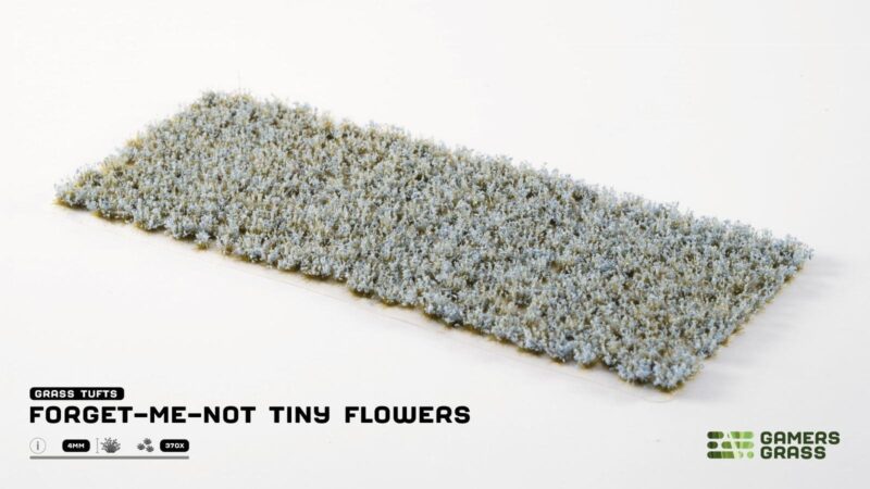 Forget-me-not Tiny Flowers - Gamers Grass